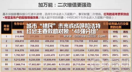 48强分组