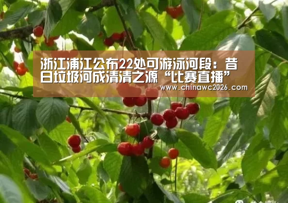 48强分组