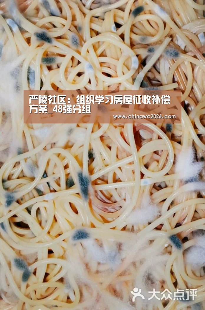 世界杯官网