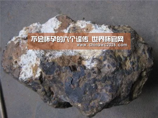 48强分组