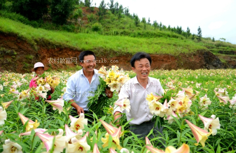 比赛直播