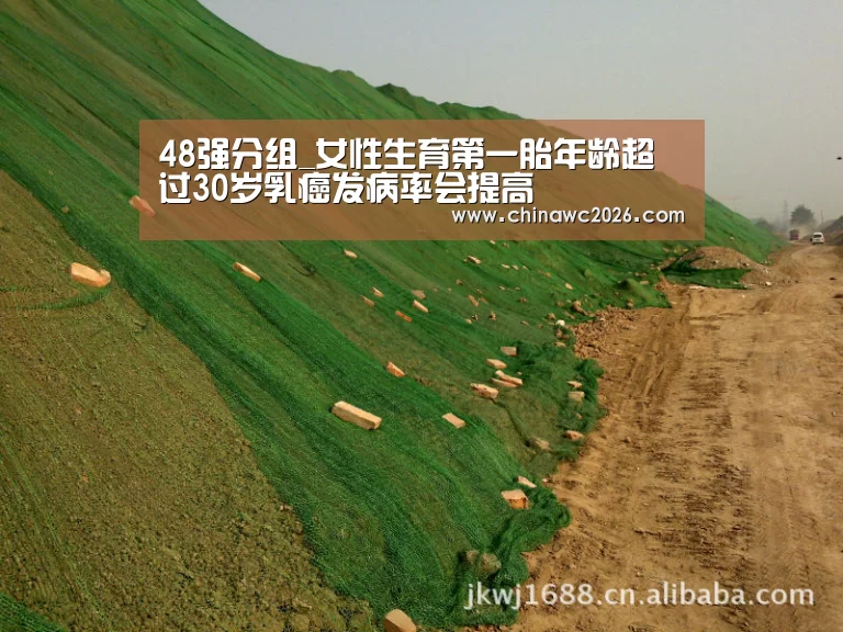 48强分组