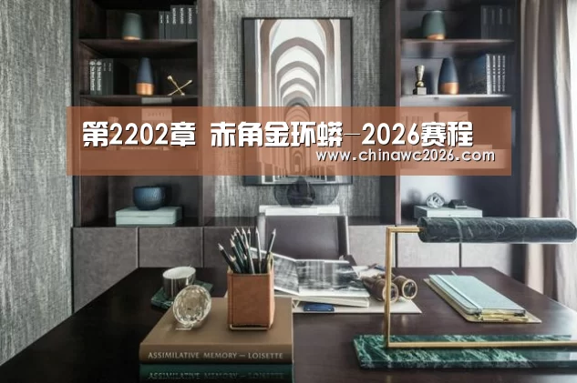 48强分组