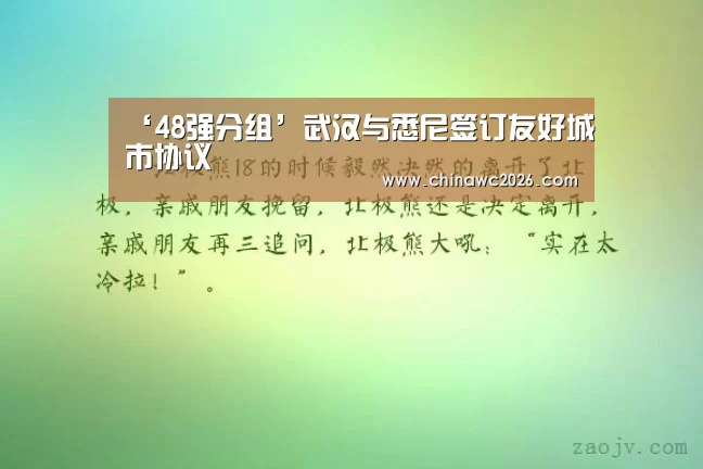48强分组