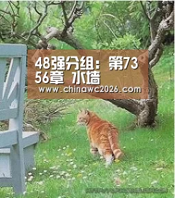 2026赛程